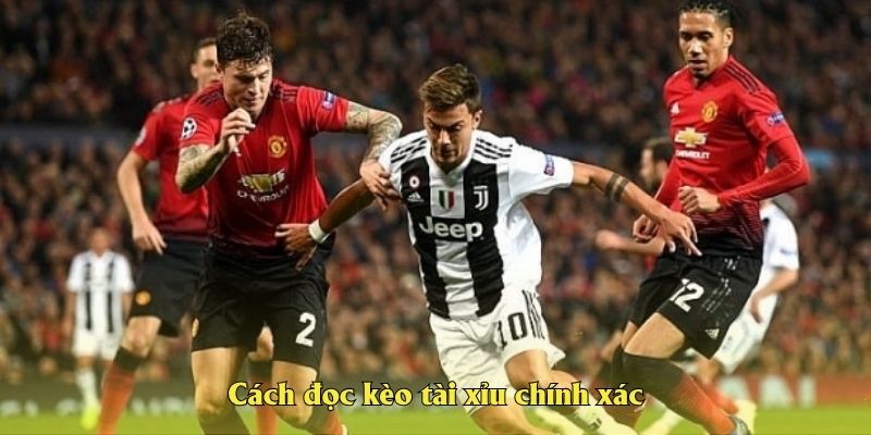 Cách đọc kèo tài xỉu chính xác