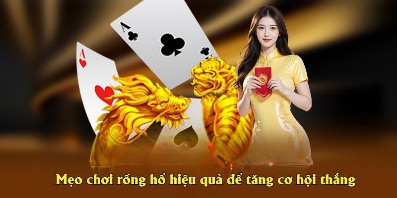 Mẹo chơi rồng hổ hiệu quả để tăng cơ hội thắng