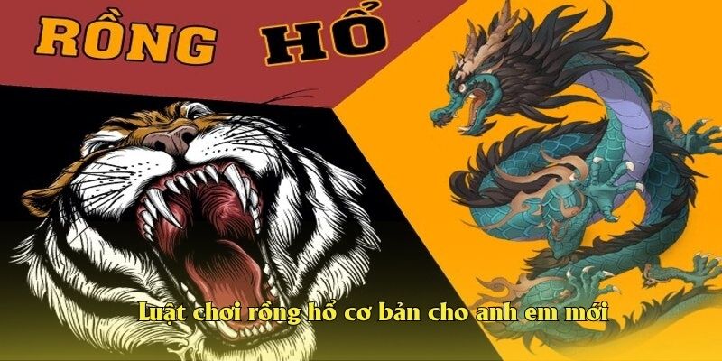 Luật chơi rồng hổ cơ bản cho anh em mới bắt đầu